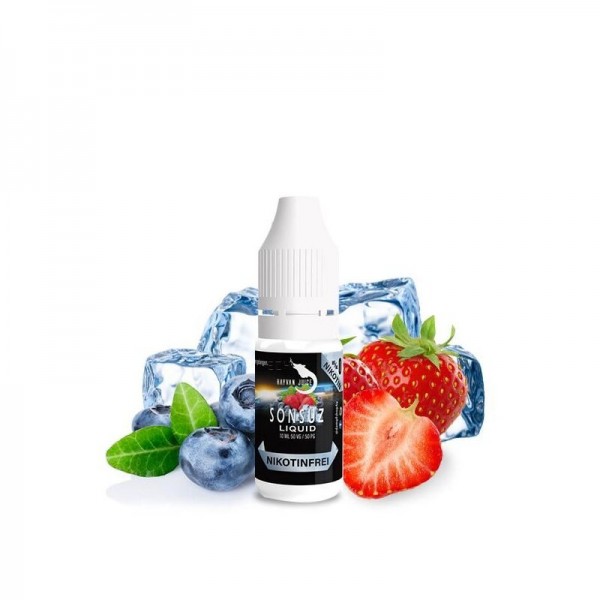 HAYVAN JUICE - SONSUZ Liquid 10ml mit Steuerzeichen