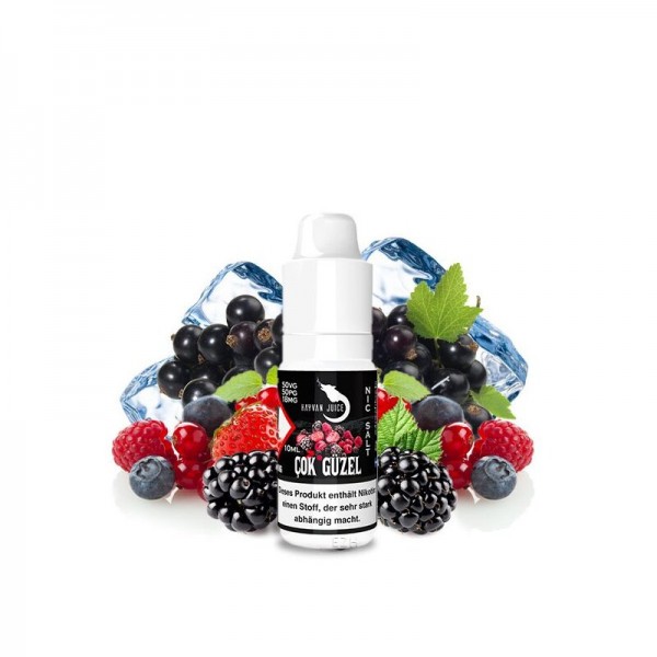 HAYVAN JUICE - COK GÜZEL BUZZZ Nikotinsalzliquid 10ml / 18mg mit Steuerzeichen